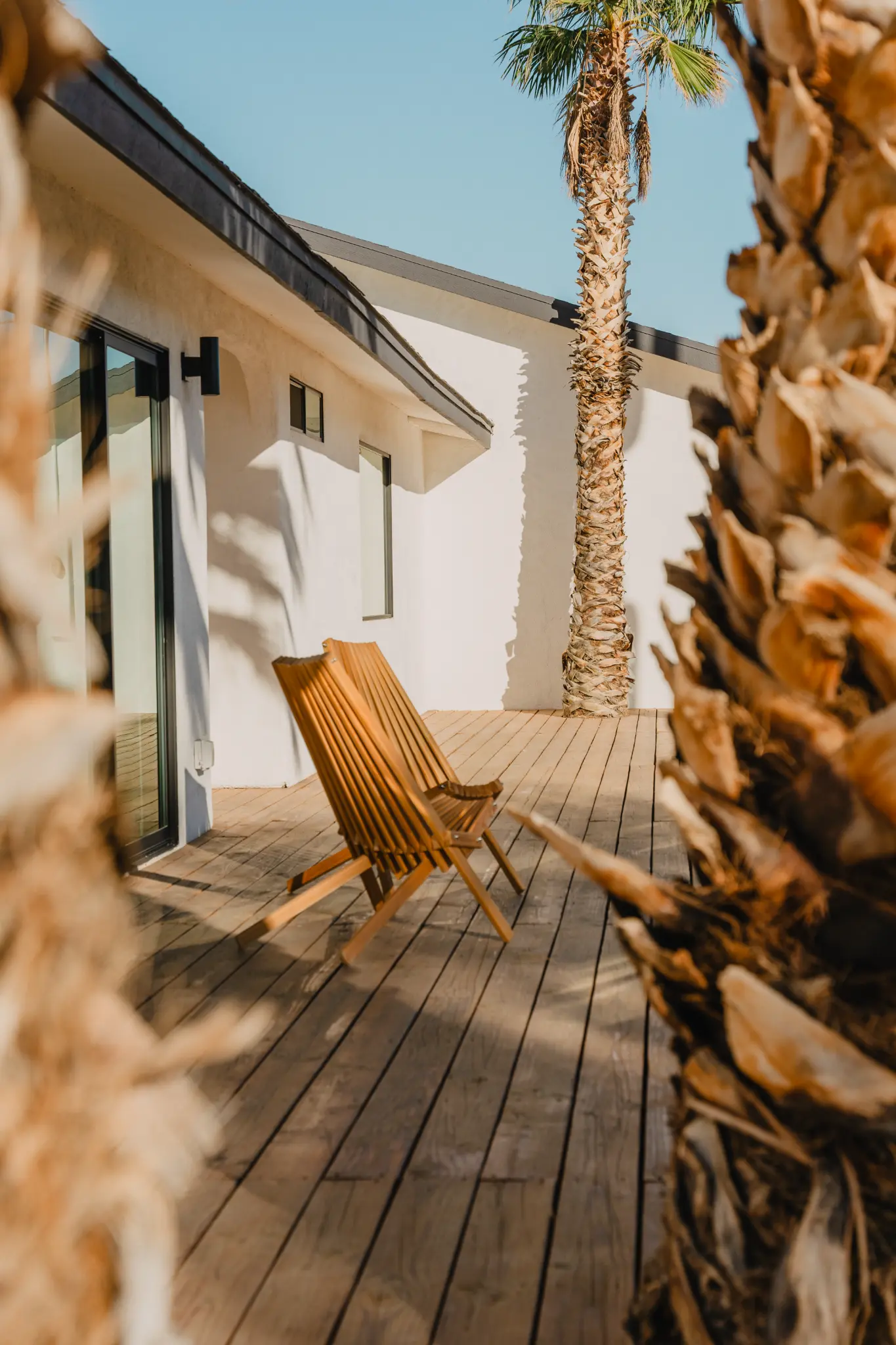 Exterior entry with corrugated steel and desert plants